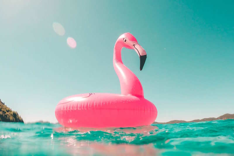 Ein Flamingo aus Plastik treibt auf dem Wasser