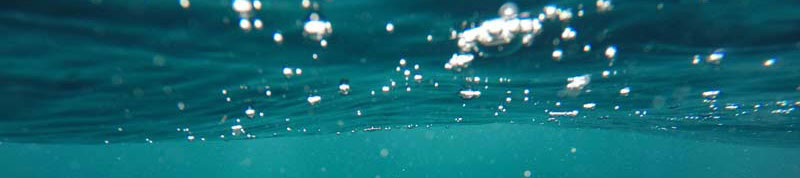 Unterwasserbildaufnahme als Symbolbild für Nachhaltigkeit im Salon
