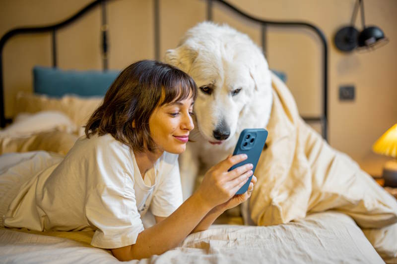 Eine Frau liegt mit ihrem Hund im Bett und bucht gerade online einen Termin über Facebook
